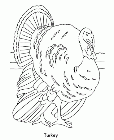 Turkeys Coloring Pages