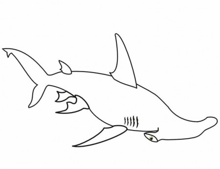 shark free schoolwhale Colouring Pages (page 3)