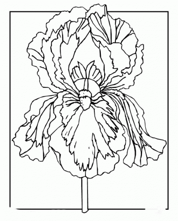 Spring Flowers Coloring Print - Spring Coloring Pages : iKids 
