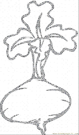 Coloring Pages Beetroot 4 (Natural World > Vegetables) - free 