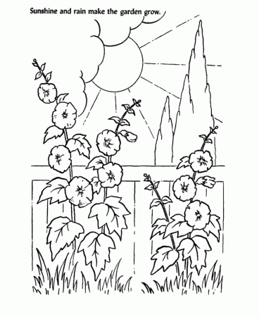 Sun And Flower On Church Coloring Pages: Sun And Flower On Church 