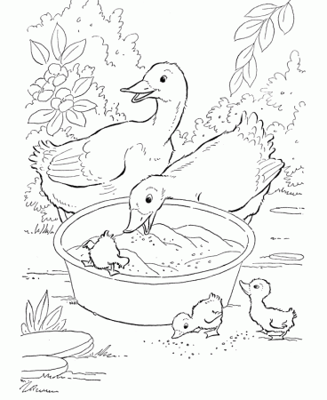 Rubber Ducky Preschool Coloring Pages - Free Printable Coloring 