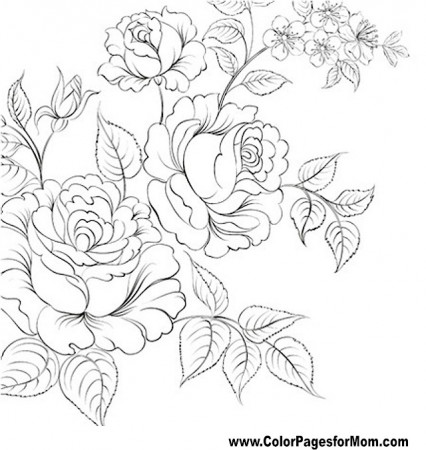 Advanced Coloring Pages - Flower Coloring Page 61