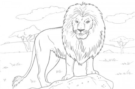 Lion Coloring Pages | Free Printable Lion Coloring Pages