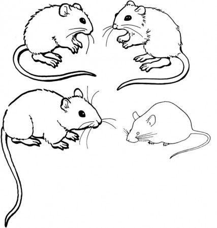 Baby mice coloring pages