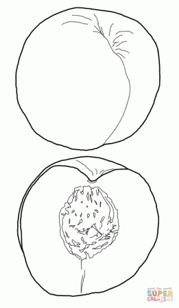 Cut Nectarine coloring page | Free Printable Coloring Pages