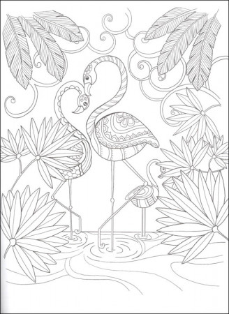Keep Calm and Color - Birds of Paradise Coloring Book | Dover Publications  | 9780486804651