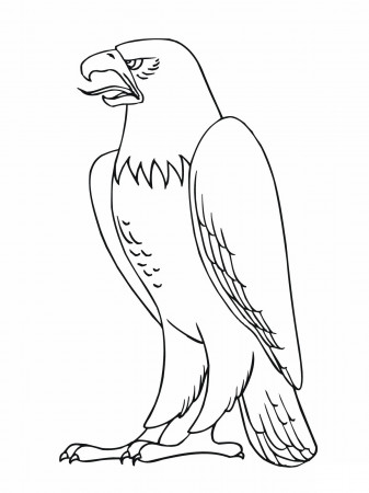 Coloring Pages : Free Coloring Birds Blue Printable For Kids Book ...