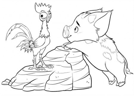 Heihei And Pua Coloring Page - Free Printable Coloring Pages for Kids