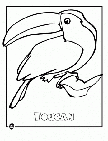 Saved Rainforest Color Pictures Rainforest Amazon Coloring Page ...