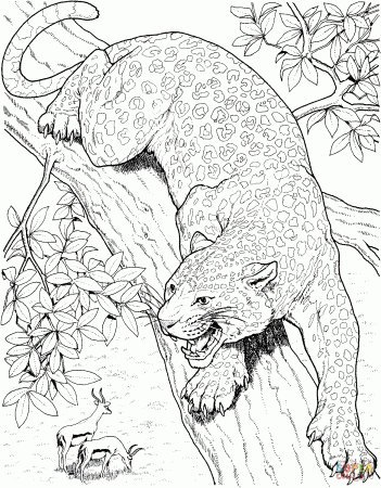 Leopard Roars On Tree coloring page | Free Printable Coloring Pages