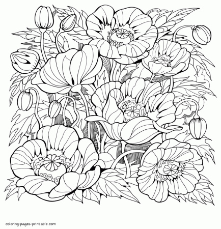 Beautiful Coloring Pages For Adults. Flowers || COLORING-PAGES-PRINTABLE.COM