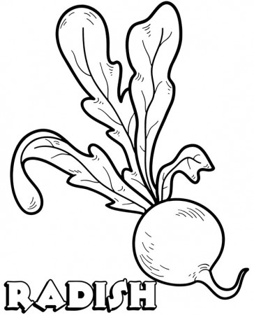 Radish easy coloring page sheet for kids - Topcoloringpages.net