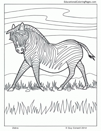 Life of Pi - Animal Coloring Pages | Educational Fun Kids Coloring 