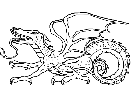 detailed dragon coloring pages printable : Printable Coloring 
