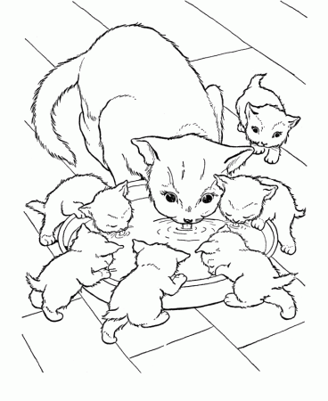 Coloring Page Of Cats : Printable Coloring Book Sheet Online for 