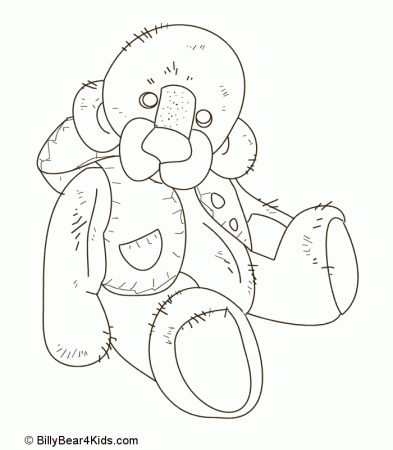 Animal Scoop - Bears - BillyBear4Kids.