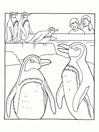 Zoo Penguin Coloring Pages