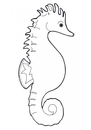 Seahorse Coloring Pages