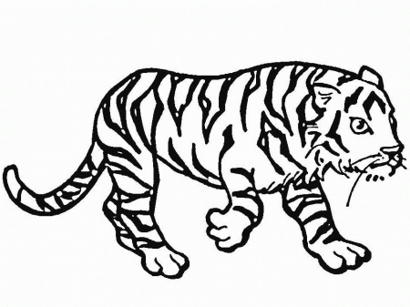 Related Pictures Tiger Coloring Pages Lowrider Car Pictures