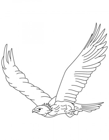 Golden eagle in flight coloring page | Download Free Golden eagle 