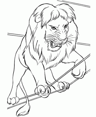 printable animal coloring pages – 670×820 Coloring picture animal 