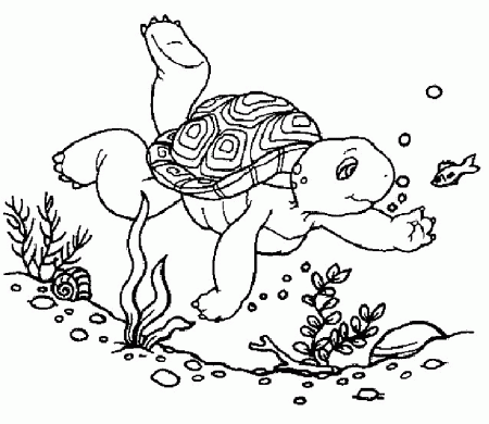 Franklin the Turtle | Free Printable Coloring Pages 