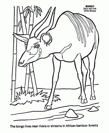 wild animals from africa Colouring Pages (page 2)