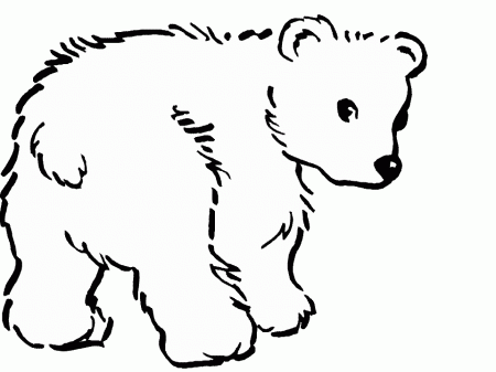 Printable Bears 17 Animals Coloring Pages - Coloringpagebook.com