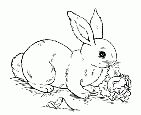 christmas connect the dots | Coloring Picture HD For Kids 
