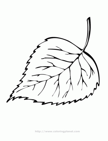 leaf printable coloring in pages for kids number