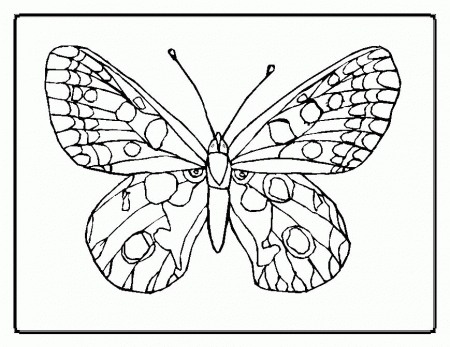easter butterfly coloring pages : Printable Coloring Sheet ~ Anbu 