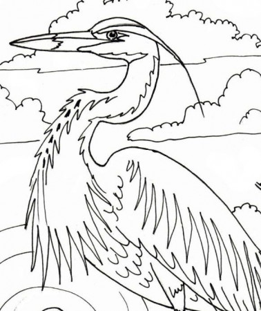 Great Blue Heron Embroidery Pattern Coloring Page - Etsy