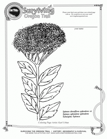 Free Botany Coloring Pages - Coloring Page