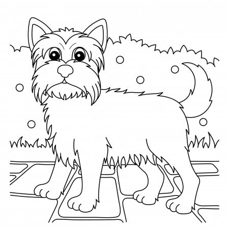 Premium Vector | Yorkshire terrier dog coloring page for kids