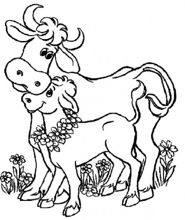 Cows, : Baby Cows and Her Mother Coloring Pages | Cow coloring pages,  Animal coloring pages, Baby cows