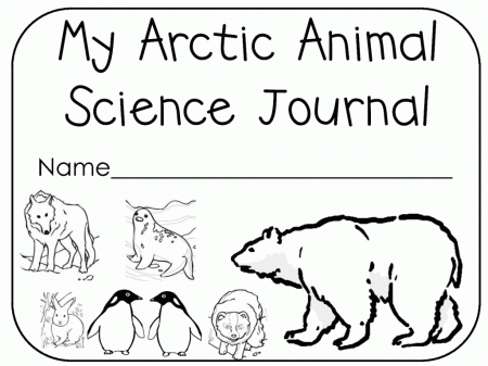 Free Printable Arctic Animals Coloring Pages - High Quality ...