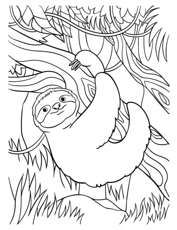 Sloth Coloring Page for Kids 13801578 Vector Art at Vecteezy