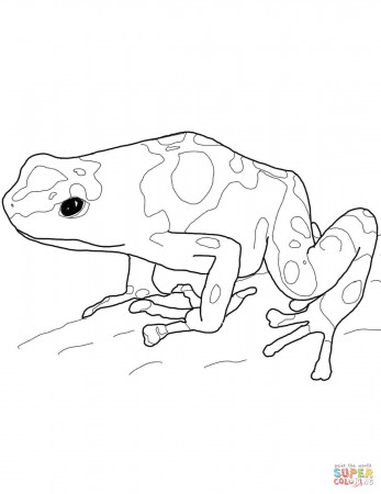 Yellow-Banded Poison Dart Frog coloring page | Free Printable Coloring Pages