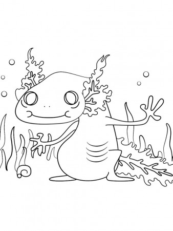 Axolotl coloring pages