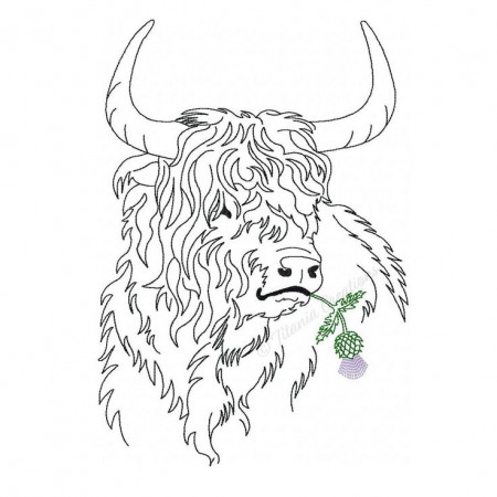 Line Work Highland Cattle With Thistle Machine Embroidery - Etsy | Highland  cattle, Silhouette art, Art sketches doodles