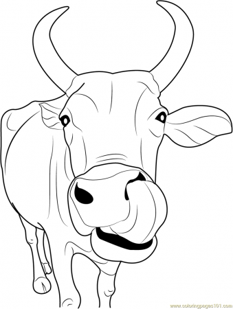 Indian Cow Face Coloring Page for Kids - Free Cow Printable Coloring Pages  Online for Kids - ColoringPages101.com | Coloring Pages for Kids