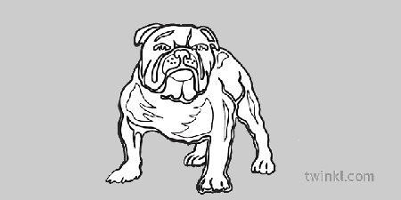 Canterbury Bankstown Bulldogs nwa e blan RGB Illustration - Twinkl
