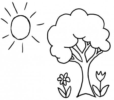 Coloring Pages : Coloring Pages Fantastic Tree Sheet Picture Ideas ...