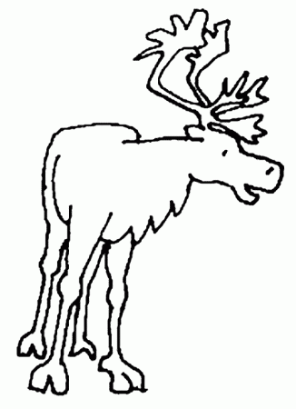 Caribou coloring page - Animals Town - Free Caribou color sheet