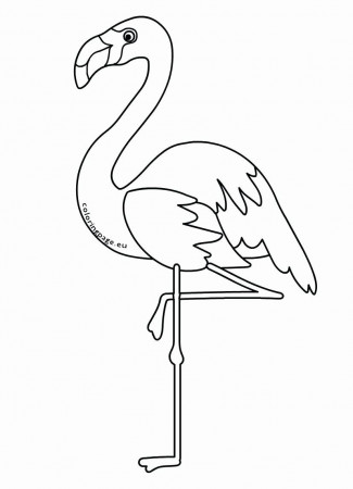 Tribal Animal Coloring Pages Inspirational Flamingo Bird Coloring Pages –  Tedpaper in 2020 | Animal coloring pages, Coloring pages, Flamingo coloring  page