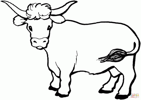 Cow 10 coloring page | Free Printable Coloring Pages