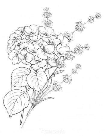 31 Printable Flower Coloring Pages for Adults - Happier Human