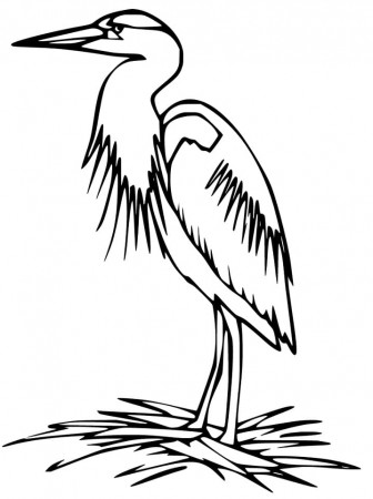 Heron Standing Coloring Page - Free Printable Coloring Pages for Kids