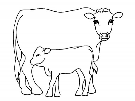 Free Printable Cow Coloring Pages For Kids | Cow colour, Cow drawing, Cow  coloring pages